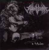 Amok Vedar : Live in Potsdam